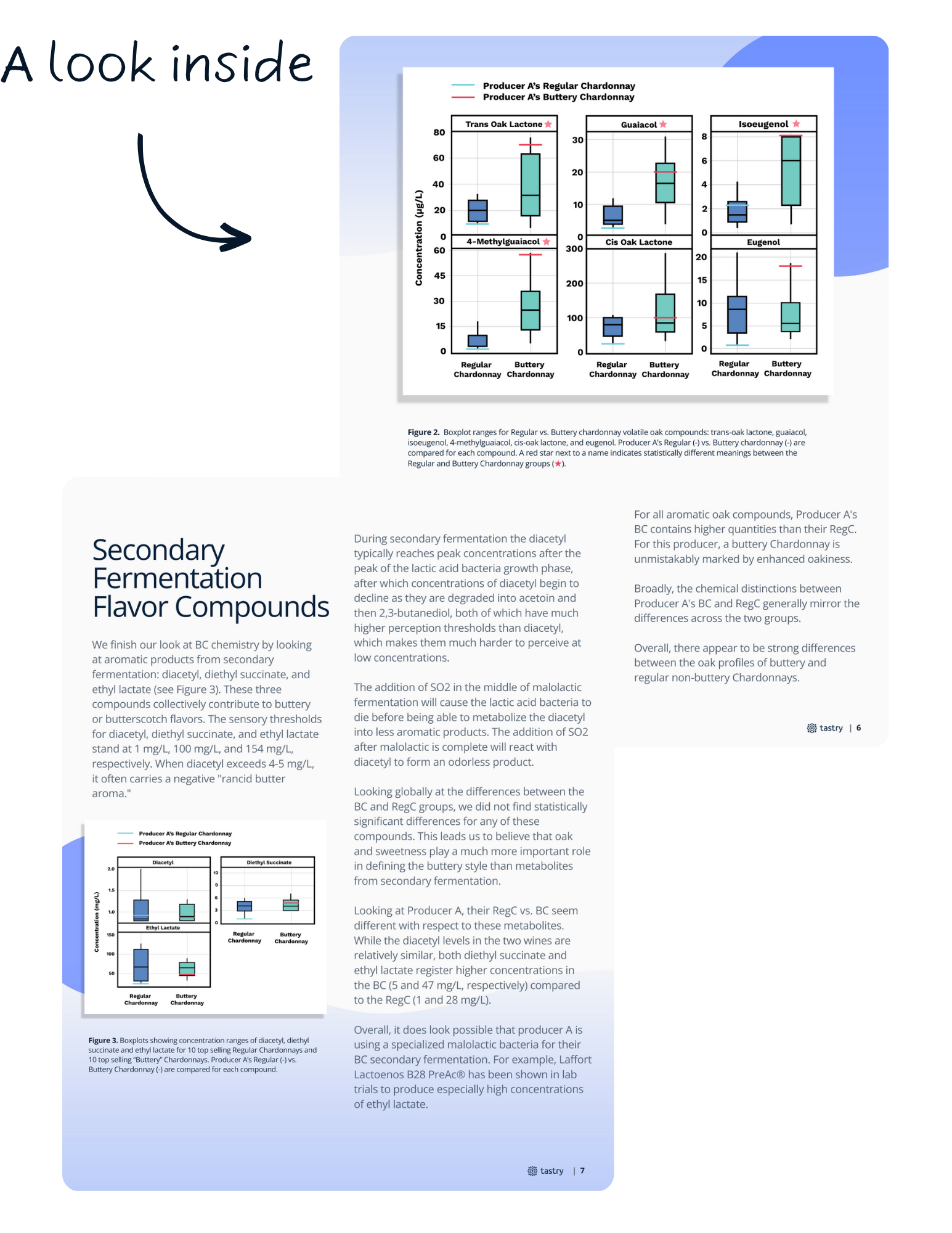 Tastry: Technical Content Strategy for Winemaker Acquisition